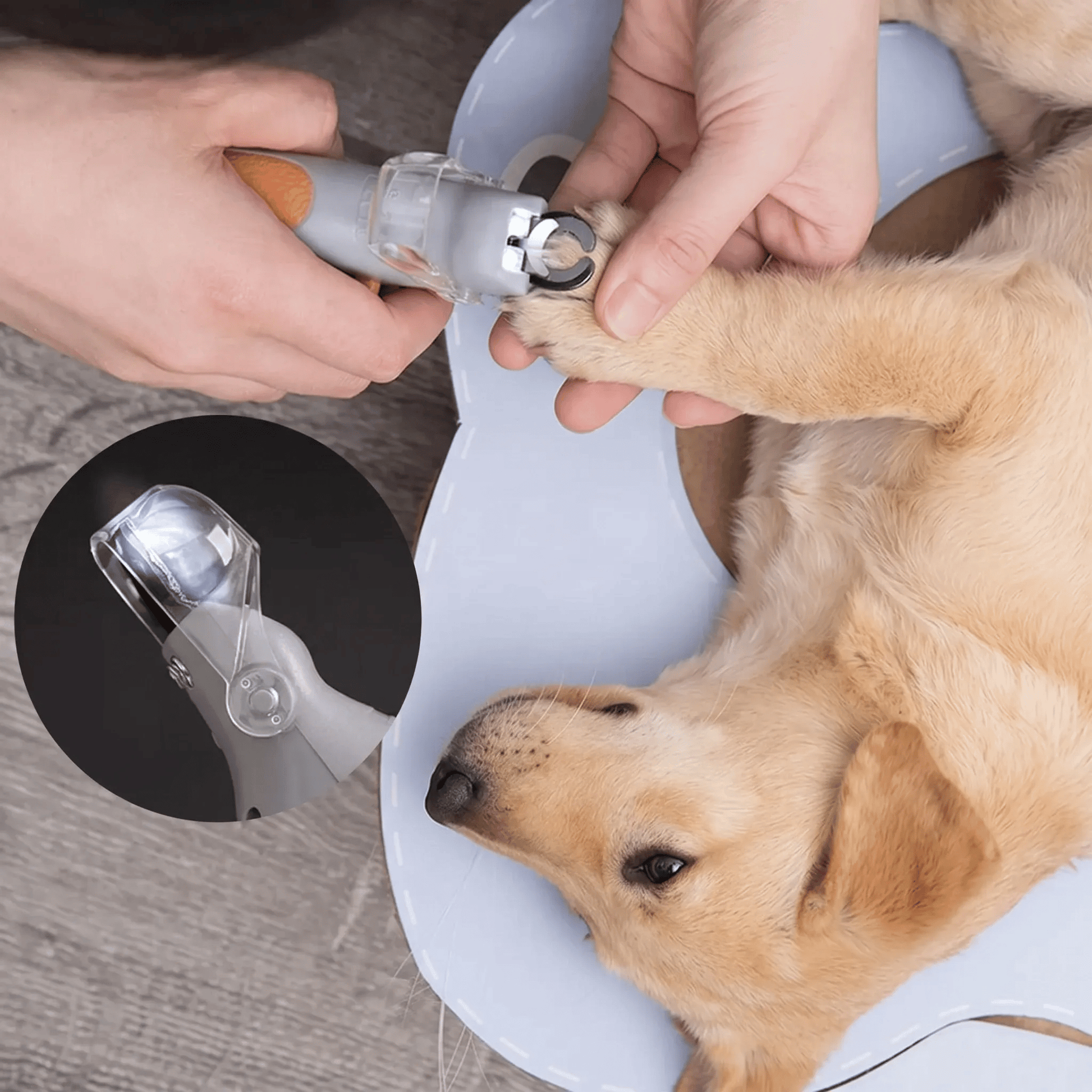 LED Pet Nail Clipper - Safe & Easy Trimming